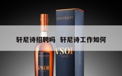 轩尼诗招聘吗  轩尼诗工作如何