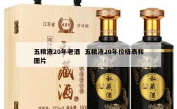 五粮液20年老酒  五粮液20年价格表和图片