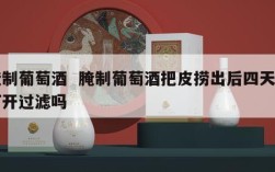腌制葡萄酒  腌制葡萄酒把皮捞出后四天能打开过滤吗
