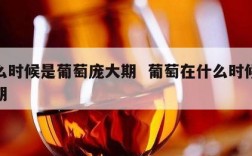 什么时候是葡萄庞大期  葡萄在什么时候成熟期