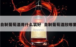 自制葡萄酒用什么装好  自制葡萄酒放哪里