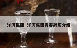 洋河集团  洋河集团青春简历介绍