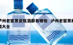 泸州老窖黑瓷瓶酒都有哪些  泸州老窖黑瓶酒大全