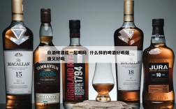 白酒啤酒能一起喝吗  什么样的啤酒好喝健康又好喝