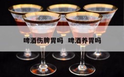 啤酒伤脾胃吗  啤酒养胃吗