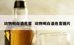 动物喝白酒危害  动物喝白酒危害图片