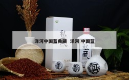 洋河中国蓝典藏  洋河 中国蓝