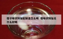 橙子味伏特加配制酒怎么喝  橙味伏特加兑什么好喝