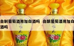 自制葡萄酒用加白酒吗  自酿葡萄酒用加白酒吗
