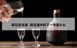 醉在意白酒  醉在酒中的下一句是什么