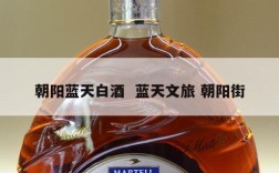 朝阳蓝天白酒  蓝天文旅 朝阳街