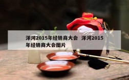 洋河2015年经销商大会  洋河2015年经销商大会图片