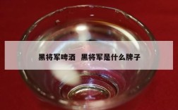 黑将军啤酒  黑将军是什么牌子