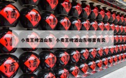 小麦王啤酒山东  小麦王啤酒山东哪里有卖