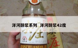 洋河醇浆系列  洋河醇浆42度