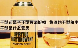 干型还是半干型黄酒好喝  黄酒的干型和半干型是什么意思
