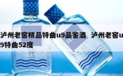 泸州老窖精品特曲u9品鉴酒  泸州老窖u9特曲52度