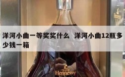 洋河小曲一等奖奖什么  洋河小曲12瓶多少钱一箱