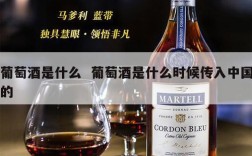 葡萄酒是什么  葡萄酒是什么时候传入中国的