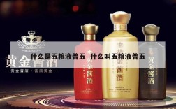 什么是五粮液普五  什么叫五粮液普五