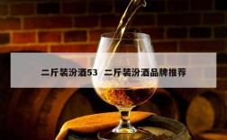 二斤装汾酒53  二斤装汾酒品牌推荐