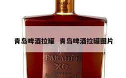 青岛啤酒拉罐  青岛啤酒拉罐图片