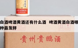白酒啤酒黄酒还有什么酒  啤酒黄酒白酒哪种最发胖