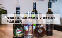 汾酒青花二十年真伪怎么辩  汾酒青花二十年品鉴酒图片