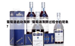 葡萄酒启动发酵  葡萄酒发酵过程中的现象?