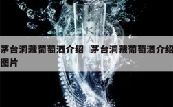 茅台洞藏葡萄酒介绍  茅台洞藏葡萄酒介绍图片