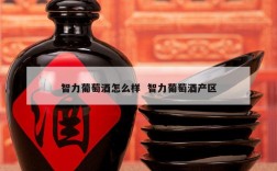 智力葡萄酒怎么样  智力葡萄酒产区