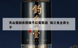 天山葡园赤霞珠干红葡萄酒  珠三角全真七子
