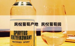 民权葡萄产地  民权葡萄园