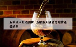 五粮液天缸酒图片  五粮液天缸酒是贴牌还是嫡系
