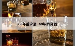 88年盖汾酒  88年的汾酒