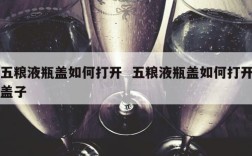 五粮液瓶盖如何打开  五粮液瓶盖如何打开盖子