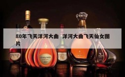 80年飞天洋河大曲  洋河大曲飞天仙女图片