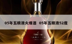 05年五粮液火爆酒  05年五粮液52度