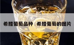 希腊葡萄品种  希腊葡萄的图片