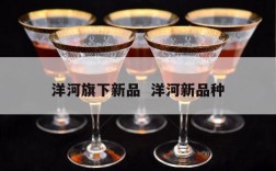 洋河旗下新品  洋河新品种