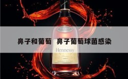 鼻子和葡萄  鼻子葡萄球菌感染