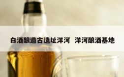 白酒酿造古遗址洋河  洋河酿酒基地