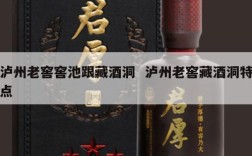 泸州老窖窖池跟藏酒洞  泸州老窖藏酒洞特点