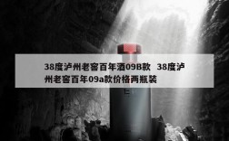 38度泸州老窖百年酒09B款  38度泸州老窖百年09a款价格两瓶装