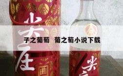 子之葡萄  葡之萄小说下载