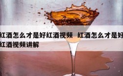红酒怎么才是好红酒视频  红酒怎么才是好红酒视频讲解