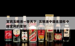 宜宾五粮液一尊天下  五粮液中国名酒和中国宜宾的差别