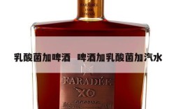乳酸菌加啤酒  啤酒加乳酸菌加汽水
