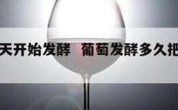 葡萄几天开始发酵  葡萄发酵多久把皮拿出来