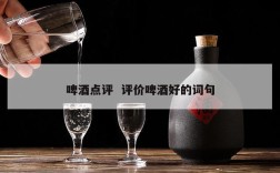 啤酒点评  评价啤酒好的词句